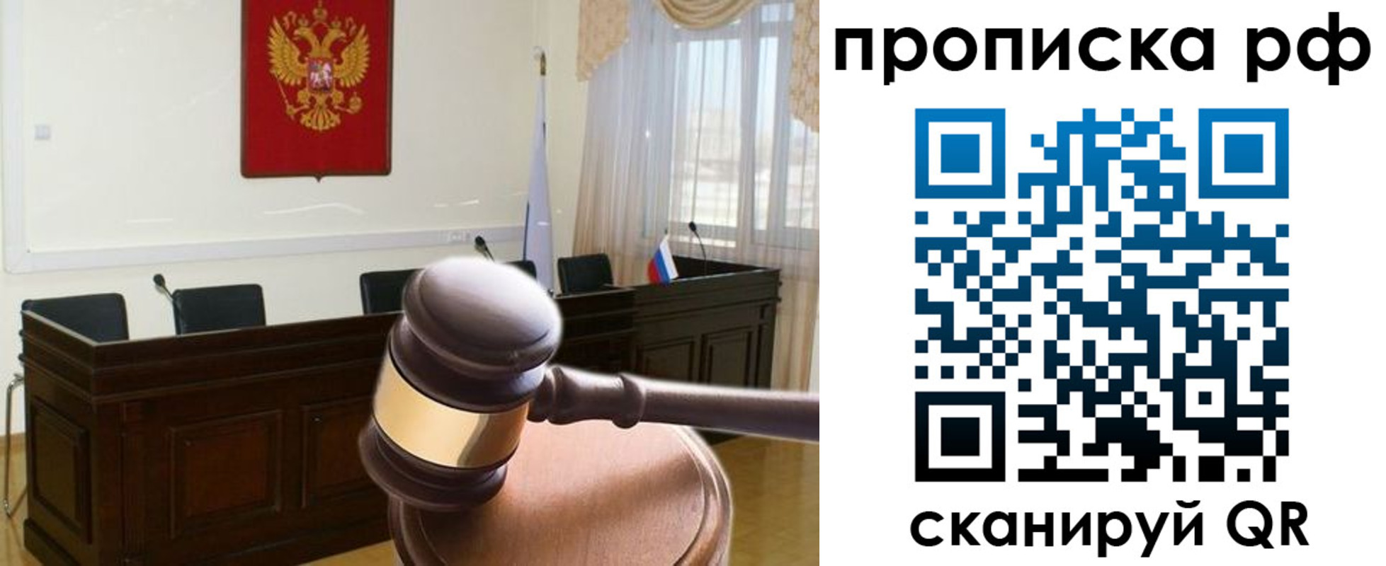 прописка гарантия в Стародубе